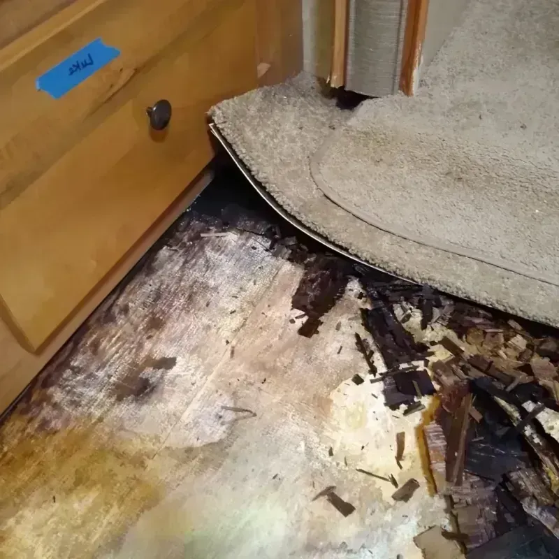 Wood Floor Water Damage in Forest Lake, IL